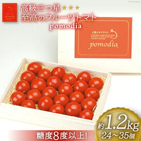 【ふるさと納税】高級 三つ星 至高のフルーツトマト pomodia ポモディア 約1.2kg（24～35個）/ 農事組合法人 た・から / 山梨県 中央市