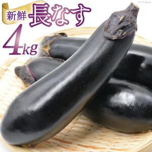 yӂ邳Ɣ[ŁzyԌ蔭z  iX 33`39{O 4kg [n}_ R s 21470840] iX Ȃ ֎q ₳ e Ԍ Gߌ ʌ Yn y2025N6{`