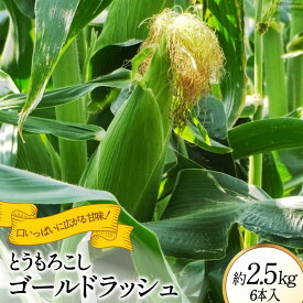 【ふるさと納税】とうもろこし ゴールドラッシュ 約2.5kg 6本入 [JAふえふき 山梨県 中央市] やさい 野菜 トウモロコシ コーン 2.5キロ 6本 季節限定 期間限定 数量限定 山梨 山梨県産 【2026年6月上旬～7月上旬発送予定】