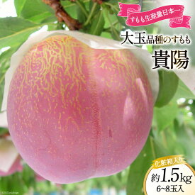 【ふるさと納税】すもも 貴陽 約1.5kg 化粧箱入 6-8玉 [JAふえふき 山梨県 中央市 21470470] フルーツ 果物 くだもの 1.5キロ 季節限定 期間限定 数量限定 山梨 山梨県産【2026年7月上旬～7月下旬発送予定】