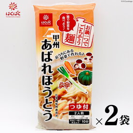 【ふるさと納税】麺 あばれほうとう つゆ付き 2食入り×2袋 [はくばく 山梨県 中央市 21470723] ほうとう 郷土料理 簡単 乾麺 スープ付き 麦みそ うどん 甲州名物