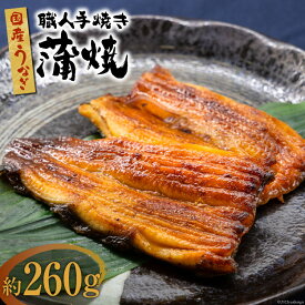 【ふるさと納税】国産 うなぎ 蒲焼 2尾 計約260g [中澤商店 山梨県 中央市 21470620] 鰻 ウナギ かば焼 蒲焼き 鰻蒲焼 うなぎ蒲焼き 丑の日 関東風 冷凍 真空パック