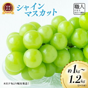 yӂ邳Ɣ[ŁzVC}XJbg y2026Nz1`1.2kg (2`3[) Ԃǂ  R t[c ʕ  Mtg Yn lC _ [5839-2236]