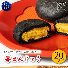 【ふるさと納税】毒まんじゅう　太田屋和菓子店[5839-2090]