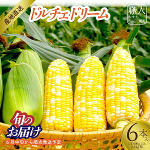 yӂ邳Ɣ[Łzy2026N6{甭zƂ낱uh`Fh[v6{ 1{400gȏ 2.5kg ЃAObiRsOYj[5839-2214]