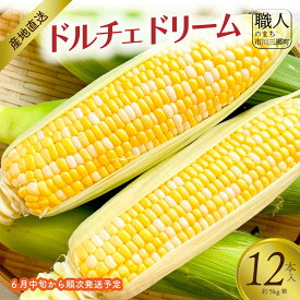 【ふるさと納税】【2025年6月中旬から発送】とうもろこし ドルチェドリーム 12本入り 横田農園 （山梨県市川三郷町産）[5839-2234]