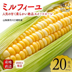 yӂ邳Ɣ[Łz2026NIyRsOYzInakakarau~tB[v20{[5839-2169]