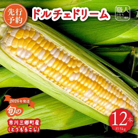 【ふるさと納税】2026年6月中旬から発送【朝採り】ドルチェドリーム　12本入り（約5kg）　ヒルサイドオーチャード[5839-2089]