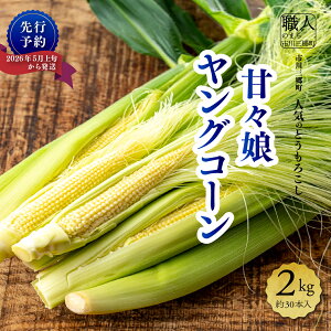 yӂ邳Ɣ[Łzy2026N5{甭zÁX̃OR[@2kg@30{ n粔_ sOY[5839-1995]