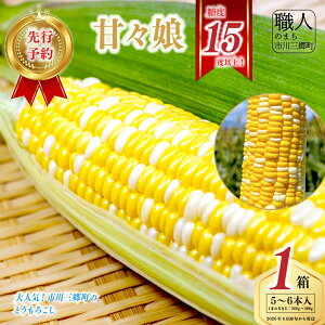 【ふるさと納税】 2026年 6月初旬から発送 市川三郷町産 とうもろこし 甘々娘 5〜6本入り 箱 株式会社 ICHI 市川三郷町産 トウモロコシ もろこし コーン スイートコーン 甘々娘 人気 野菜 ラン