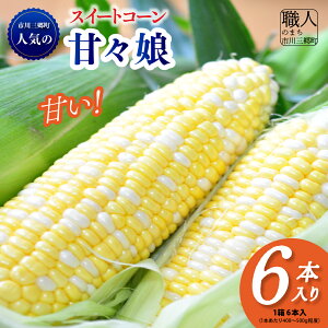 yӂ邳Ɣ[ŁzXC[gR[ Ƃ낱 ÁX 6{ sO 2026N 6{  Yn pc_ R sO lC R[ gERV ̂ s s\ Â 