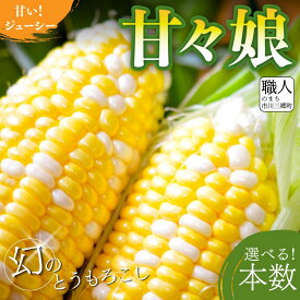 2027年 6月 発送 とうもろこし 甘々娘 4本 6本 選べる 容量 REGALO ｜ 人気 人気品種 かんかんむすめ トウモロコシ スイートコーン BBQ バーベキュー 焼き 茹で 夏野菜 野菜 高糖度 糖度 甘い 産地直送 新鮮 採れたて 朝採れ 贈答 特産品 山梨県 山梨 市川三郷町 市川三郷