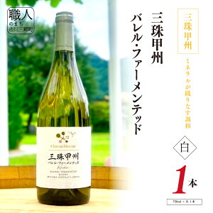 yӂ邳Ɣ[ŁzC C R 750ml uObB@oEt@[ebhv Vg[EV [5839-2264]