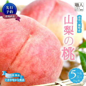 yӂ邳Ɣ[ŁzR̓ 5`6 2kg@2026N7{甭@q_[5839-0005]