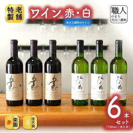 【ふるさと納税】【楽園】赤ワイン・【信天翁】 甲州白ワイン 6本セット 楽園葡萄酒醸造場 [5839-0096]