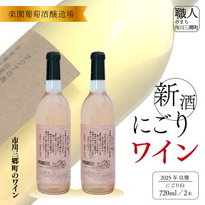 yӂ邳Ɣ[Łzɂ C 2025N n C VC bBC 720ml×2 {Zbg y [5839-1460]