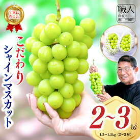 【ふるさと納税】シャインマスカット 2026年発送 山梨 1.3～1.5kg (2～3房) ぶどう 葡萄 山梨県 フルーツ 果物 くだもの ギフト 産地直送 人気 ないとうぶどうファーム 先行予約 先行受付 先行 ぶどう ブドウ 葡萄 マスカット 果物 くだもの [5839-1926]