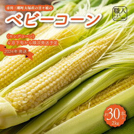 【ふるさと納税】市川三郷町大塚産の甘々娘のベビーコーン 2kg（約30本入り）ヤングコーン　Kai Sweet Farm[5839-1009]　【野菜・とうもろこし・野菜・野菜セット】　お届け：2024年4月下旬か順次発送予定