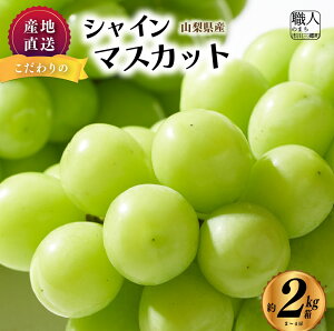 yӂ邳Ɣ[ŁzVC}XJbg y2025Nz R 2kg Ԃǂ  R t[c ʕ  Mtg Yn lC ȂƂԂǂt@[ [5839-1222]