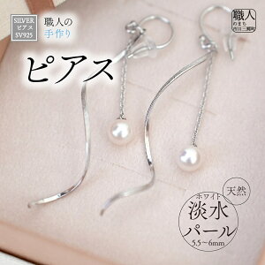 yӂ邳Ɣ[ŁzSILVER@sAXiP-76j[5839-1937]@yt@bVEANZT[EANZT[EsAXz@͂FmF1O
