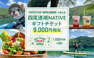 yӂ邳Ɣ[ŁzlA NATIVEMtg`Pbg9,000~@native surf[5839-2053]