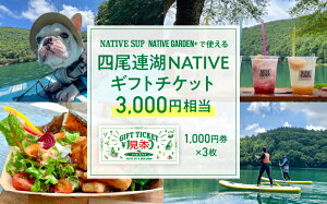 yӂ邳Ɣ[ŁzlA NATIVEMtg`Pbg3,000~@native surf[5839-2051]