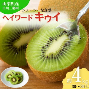 yӂ邳Ɣ[ŁzLEC LECt[c wC[h 30 ` 36  4kg  ʕ _ 엿 ͔| _ sO sO [5839-1600]