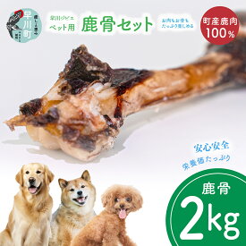 【ふるさと納税】早川ジビエペット用鹿骨セット