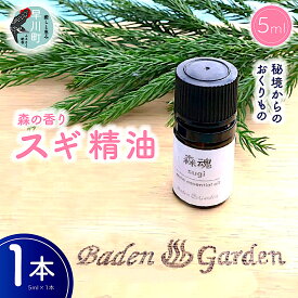 【ふるさと納税】早川町産スギ精油　5ml