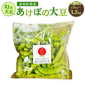 【ふるさと納税】＜選べる内容量＞幻の大豆 身延町特産 あけぼの大豆 約1kg（大袋） / 計約1.2kg（約300g×4袋） 大豆 だいず 豆類 豆 まめ 山梨県産 国産 山梨県 身延町 送料無料 【2026年10月下旬から順次発送予定】