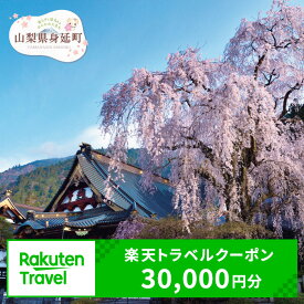 【ふるさと納税】山梨県身延町の対象施設で使える楽天トラベルクーポン 寄附額100,000円