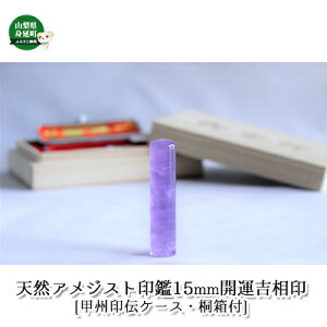 yӂ邳Ɣ[Łz VRAWXg 15mm J^g bB`P[X ˔tG듰 G pi  s  ӃP[X F ͂