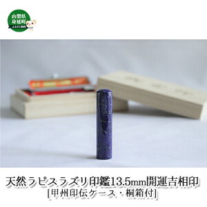 yӂ邳Ɣ[Łz VRsXY 13.5mm J^g bB`P[X ˔tG듰 G pi  s  ӃP[X F ͂