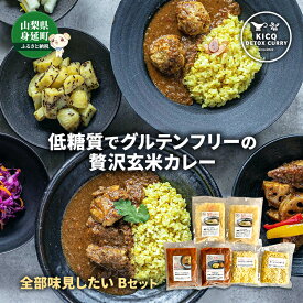 【ふるさと納税】全種類味見したい！2種2食＋スープ　Bセット　【 惣菜 本格スパイスカレー グルテンフリー チキンカレー ターメリックライス 】