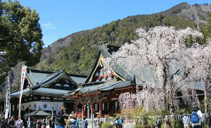 yӂ邳Ɣ[ŁzyIׂzRg {s n藷sN[| 30,000`300,000~ ze h `Pbg LO R g 