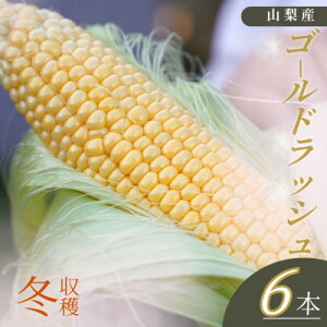 yӂ邳Ɣ[ŁzyR암YẑS[hbV6{yzsnFzy1663442z