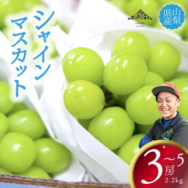 【ふるさと納税】【2025年発送分 先行予約】 シャインマスカット 約2.2kg（3～5房） 8月中旬以降発送予定 フルーツ 山梨県産 果物 シャイン マスカット ぶどう ブドウ 大粒 種なし 産地直送 富士川町 先行予約（A5307）