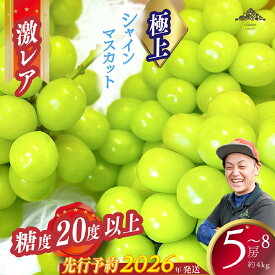 【ふるさと納税】【2026年発送分 先行予約】激レア【糖度20度以上】極上シャインマスカット 4kg以上 フルーツ 山梨県産 果物 シャイン マスカット ぶどう ブドウ 大粒 種なし