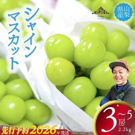 【ふるさと納税】【2026年発送分 先行予約】 シャインマスカット 2.2kg以上（3～5房） 8月中旬以降発送予定 フルーツ 山梨県産 果物 シャイン マスカット ぶどう ブドウ 大粒 種なし 産地直送 富士川町 先行予約（A5307）