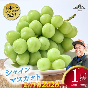 yӂ邳Ɣ[Łzy2026N s\zyTCYzVC}XJbg 1[ t[c RY ʕ VC }XJbg Ԃǂ uhE 嗱 Ȃ 9000~ ~ 9,000~
