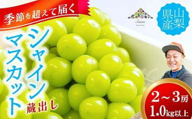 【ふるさと納税】【季節を超えて届く】【11月～12月発送】蔵出し シャインマスカット 1.0kg以上（2～3房）　フルーツ 山梨県産 果物 シャイン マスカット ぶどう ブドウ 大粒 種なし 山梨 やまなし 富士川町