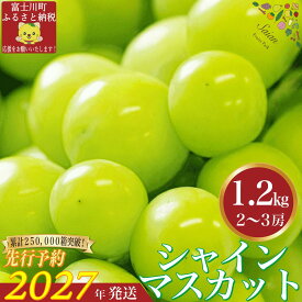 【ふるさと納税】【2027年発送分 先行予約】 シャインマスカット 1.2kg（2～3房） 8月中旬以降発送予定 フルーツ 山梨県産 果物 シャイン マスカット ぶどう ブドウ 大粒 種なし 産地直送 富士川町 先行予約（A5302）