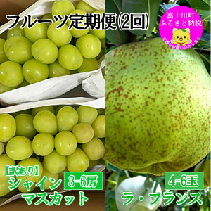 yӂ邳Ɣ[Łzy2026N s\zyt[c܂Ȃ̃t[cցzy󂠂zVC}XJbg(3`6[E1.8`2kgjEtX(4`6ʁE2kgȏ)  Ԃǂ  