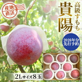 【ふるさと納税】【2026年発送分 先行予約】貴陽（2L）8玉　すもも プラム スモモ 李 くだもの 果物 山梨 やまなし フルーツ 産地直送 富士川町