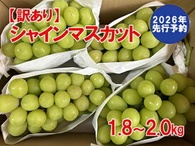 【ふるさと納税】【2026年発送分 先行予約】【訳あり】シャインマスカット 1.8kg～2kg (3～6房) 【8月下旬以降発送予定】 訳アリ 訳あり品 シャイン マスカット ぶどう ブドウ 葡萄 徳用 家庭用 ご家庭用 旬 新鮮 くだもの 果物 フルーツ 山梨 やまなし 富士川町