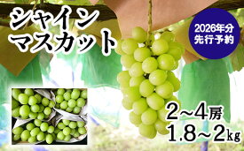 【ふるさと納税】【贈答用】【2026年発送分 先行予約】 山梨おいしい果物園のシャインマスカット 1.8kg-2.0kg (2~4房)　産地直送 フルーツ シャイン マスカット ブドウ ぶどう 山梨 やまなし 富士川町