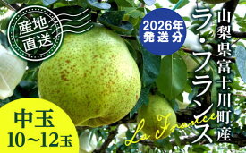 【ふるさと納税】【2026年発送分 先行予約】 ラ・フランス 中玉 10-12玉 (3.5kg以上) ※2026年10月中旬以降発送予定　洋ナシ 洋梨 フルーツ 果物 富士川町