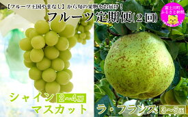【ふるさと納税】【2026年発送分】【やまなしフルーツ定期便（2回）】 山梨おいしい果物園のシャインマスカット 1.8kg-2.0kg (2~4房)＆ラ・フランス（1.5kg以上・3-5玉）　定期便　果物 フルーツ くだもの シャイン 洋ナシ 洋梨 洋なし 山梨 やまなし 富士川町