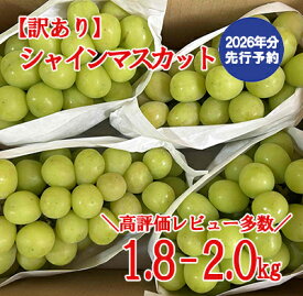 【ふるさと納税】【2026年発送分 先行予約】＼高評価多数／【訳あり】シャインマスカット 1.8kg～2kg (3～6房) 【8月下旬以降発送予定】 訳アリ 訳あり品 シャイン マスカット ぶどう ブドウ 葡萄 徳用 家庭用 ご家庭用 新鮮 くだもの 果物 フルーツ 山梨 やまなし 富士川町