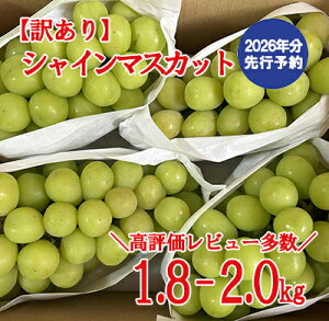 �y�ӂ邳�Ɣ[�Łz�y2026�N������ ��s�\��z�_���]�������^�y�󂠂�z�V���C���}�X�J�b�g 1.8kg�`2kg (3�`6�[) �y8�����{�ȍ~�����\��z ��A�� �󂠂�i �V���C�� �}�X�J�b�g �Ԃǂ� �u�h�E ��